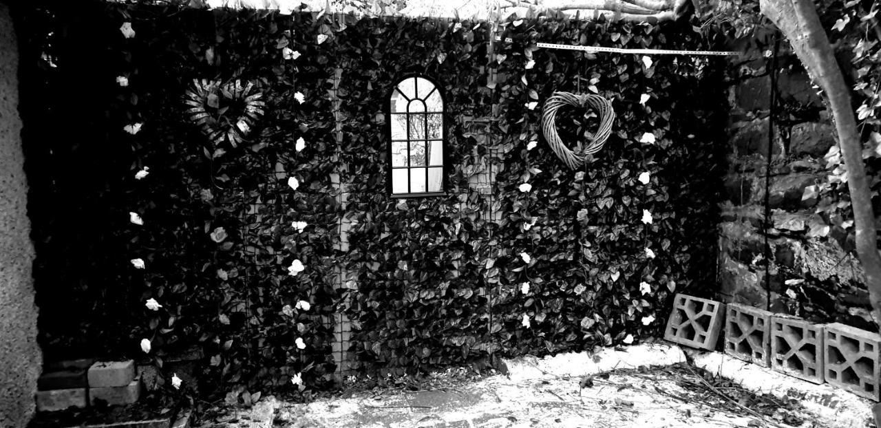Belfast Cosy Cabin Eksteriør billede